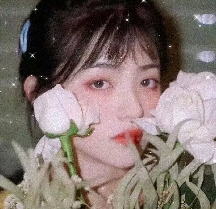 幽灵登山家