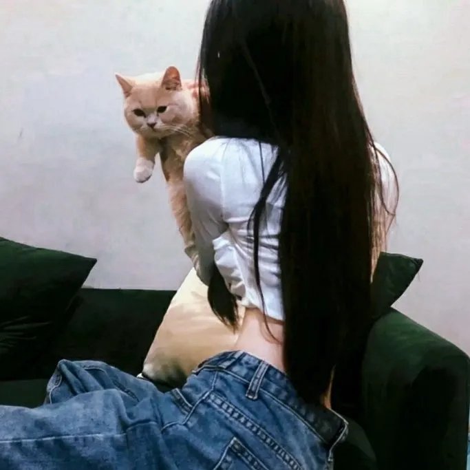 飞瀑情仇